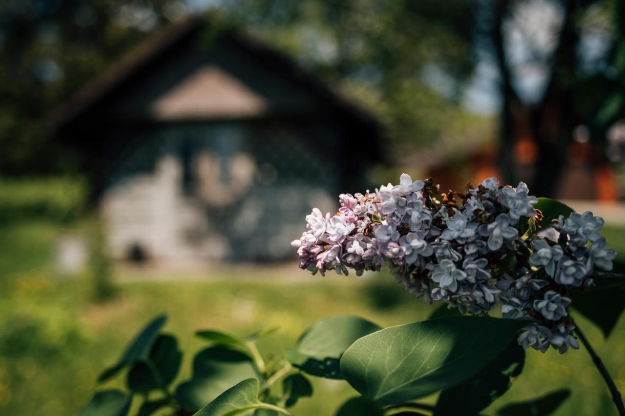 Apartamenty Madzia Wisla Luaran gambar