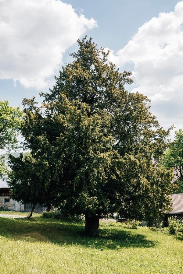 Apartamenty Madzia Wisla Luaran gambar